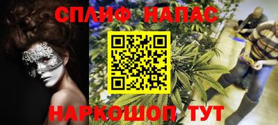 a pvp Моздок